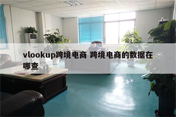 vlookup跨境电商 跨境电商的数据在哪查