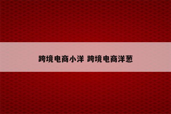 跨境电商小洋 跨境电商洋葱
