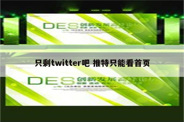只剩twitter吧 推特只能看首页