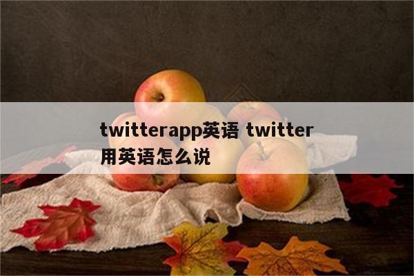 twitterapp英语 twitter用英语怎么说