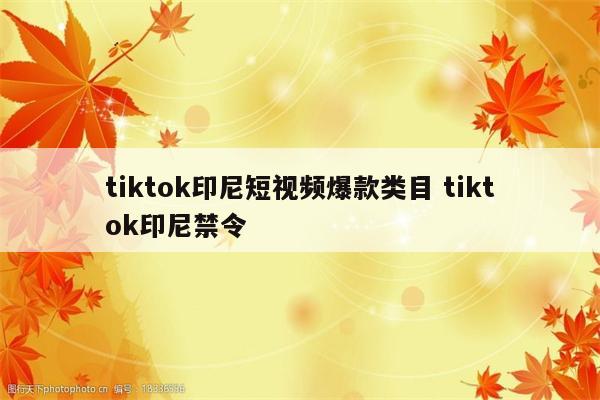tiktok印尼短视频爆款类目 tiktok印尼禁令