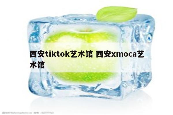 西安tiktok艺术馆 西安xmoca艺术馆