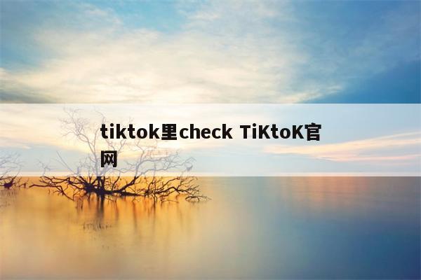 tiktok里check TiKtoK官网