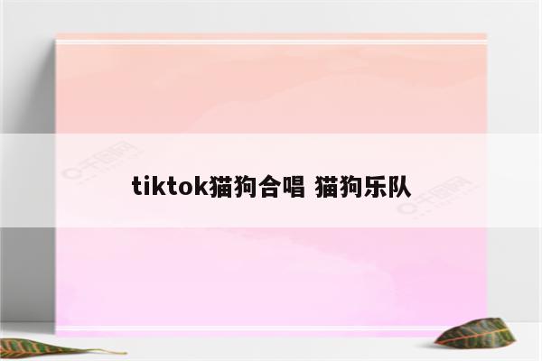 tiktok猫狗合唱 猫狗乐队