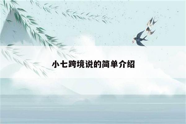 小七跨境说的简单介绍