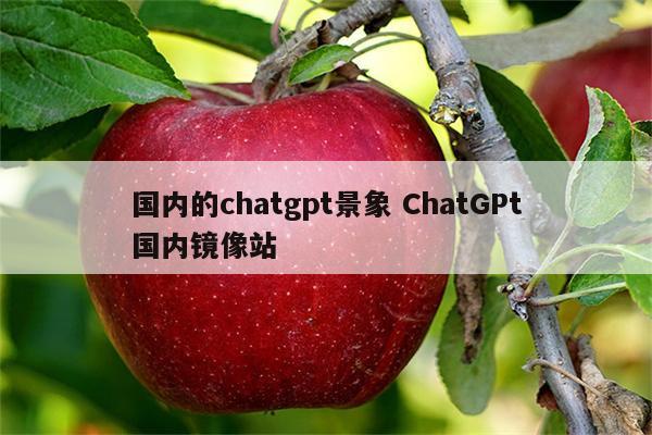 国内的chatgpt景象 ChatGPt国内镜像站