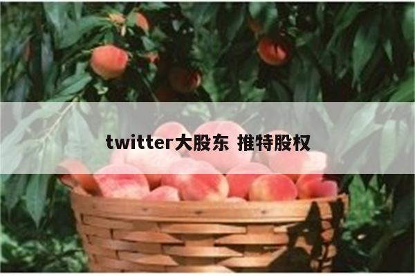 twitter大股东 推特股权