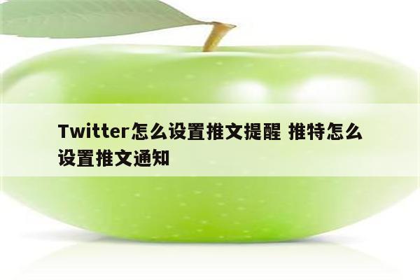 Twitter怎么设置推文提醒 推特怎么设置推文通知
