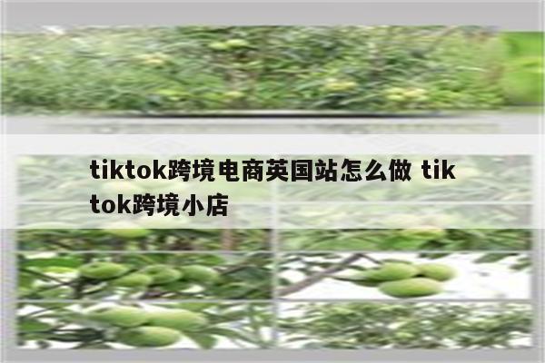 tiktok跨境电商英国站怎么做 tiktok跨境小店