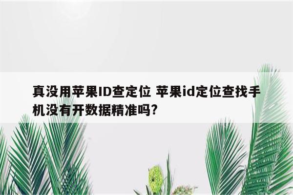 真没用苹果ID查定位 苹果id定位查找手机没有开数据精准吗?