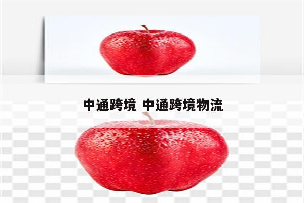 中通跨境 中通跨境物流