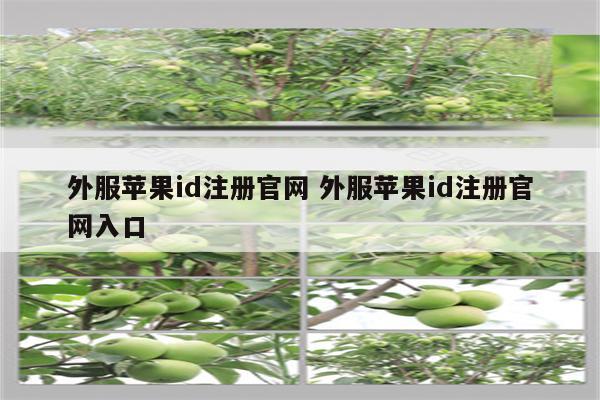 外服苹果id注册官网 外服苹果id注册官网入口