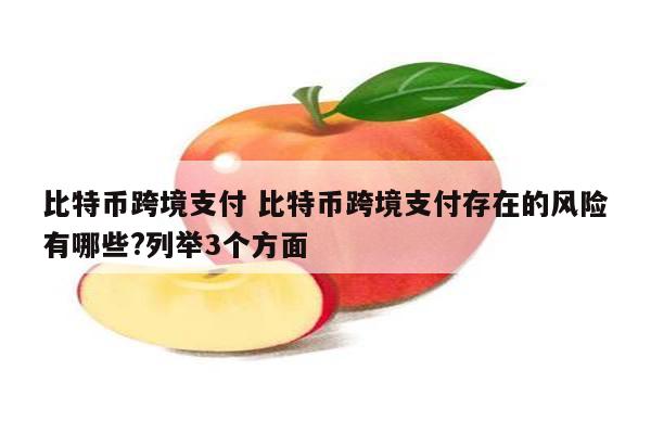 比特币跨境支付 比特币跨境支付存在的风险有哪些?列举3个方面