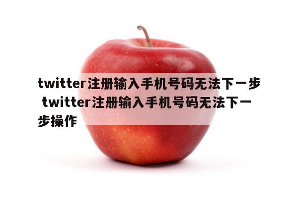 twitter注册输入手机号码无法下一步 twitter注册输入手机号码无法下一步操作