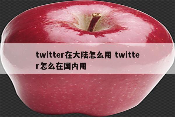 twitter在大陆怎么用 twitter怎么在国内用