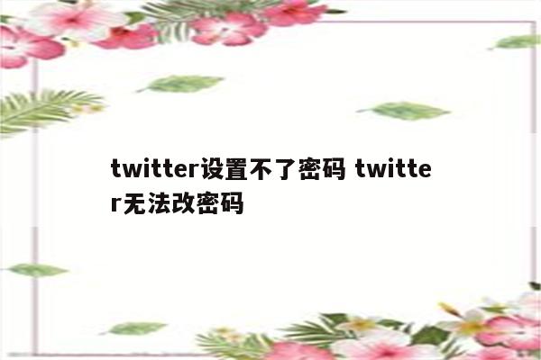 twitter设置不了密码 twitter无法改密码