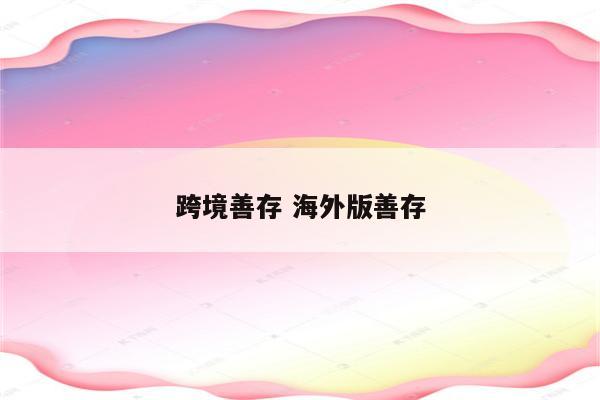 跨境善存 海外版善存