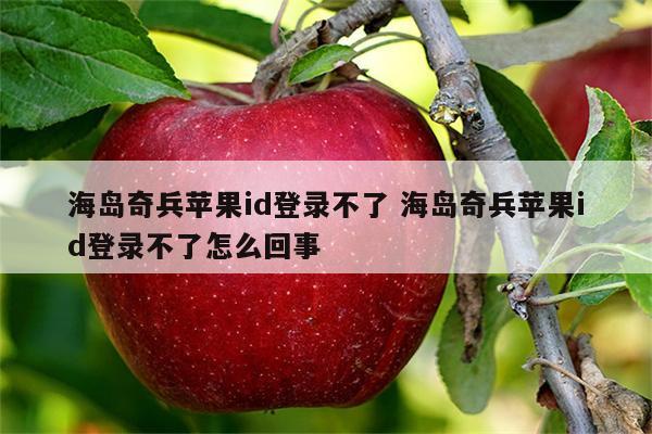 海岛奇兵苹果id登录不了 海岛奇兵苹果id登录不了怎么回事