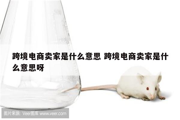 跨境电商卖家是什么意思 跨境电商卖家是什么意思呀