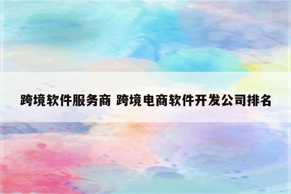 跨境软件服务商 跨境电商软件开发公司排名