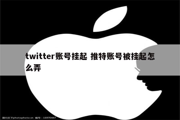 twitter账号挂起 推特账号被挂起怎么弄