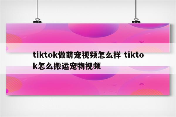 tiktok做萌宠视频怎么样 tiktok怎么搬运宠物视频