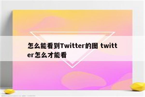 怎么能看到Twitter的图 twitter怎么才能看