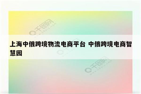 上海中俄跨境物流电商平台 中俄跨境电商智慧园