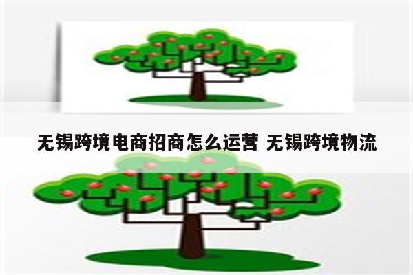 无锡跨境电商招商怎么运营 无锡跨境物流