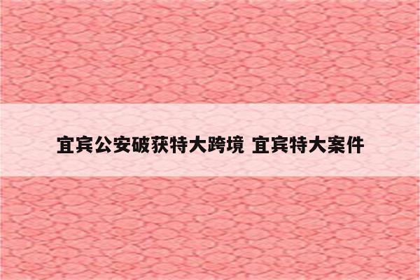 宜宾公安破获特大跨境 宜宾特大案件