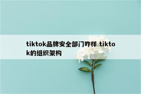 tiktok品牌安全部门咋样 tiktok的组织架构
