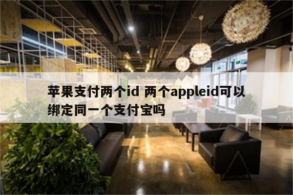 苹果支付两个id 两个appleid可以绑定同一个支付宝吗