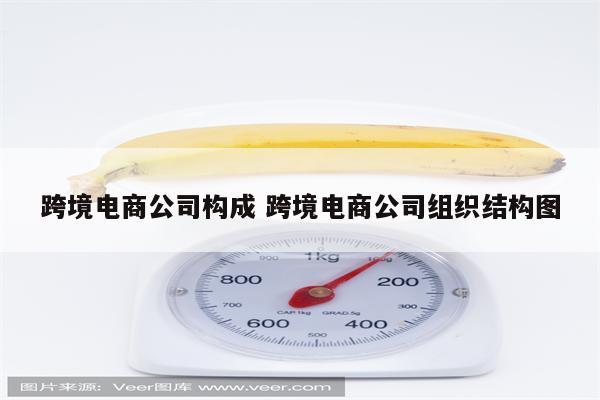 跨境电商公司构成 跨境电商公司组织结构图