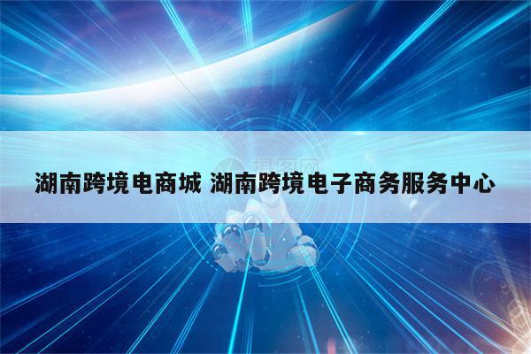 湖南跨境电商城 湖南跨境电子商务服务中心