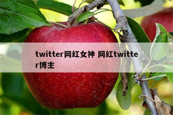 twitter网红女神 网红twitter博主