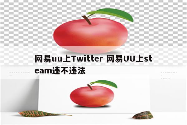 网易uu上Twitter 网易UU上steam违不违法