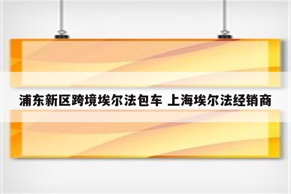 浦东新区跨境埃尔法包车 上海埃尔法经销商