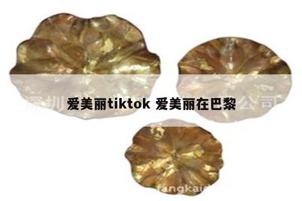 爱美丽tiktok 爱美丽在巴黎