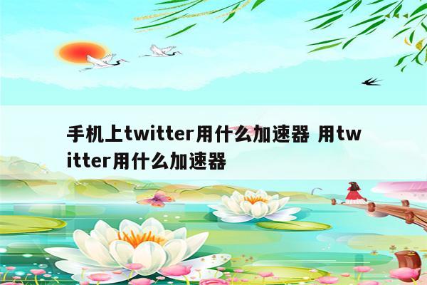 手机上twitter用什么加速器 用twitter用什么加速器