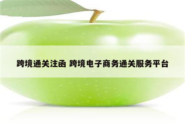 跨境通关注函 跨境电子商务通关服务平台