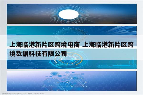 上海临港新片区跨境电商 上海临港新片区跨境数据科技有限公司