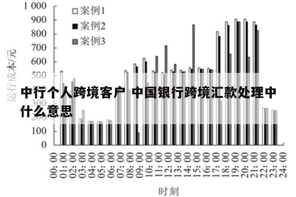 中行个人跨境客户 中国银行跨境汇款处理中什么意思