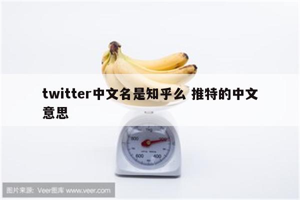 twitter中文名是知乎么 推特的中文意思
