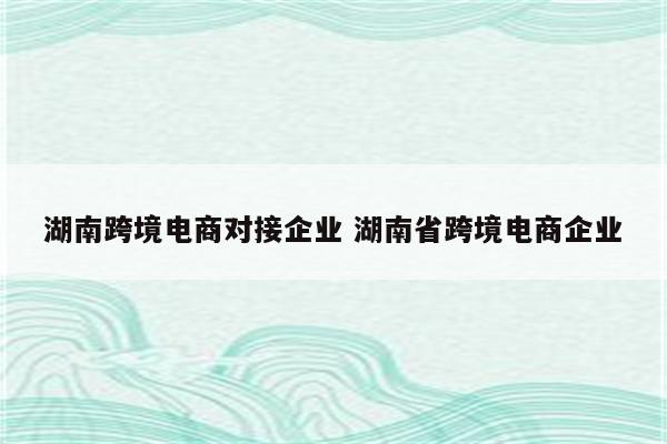 湖南跨境电商对接企业 湖南省跨境电商企业