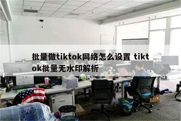 批量做tiktok网络怎么设置 tiktok批量无水印解析