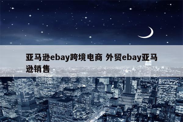 亚马逊ebay跨境电商 外贸ebay亚马逊销售