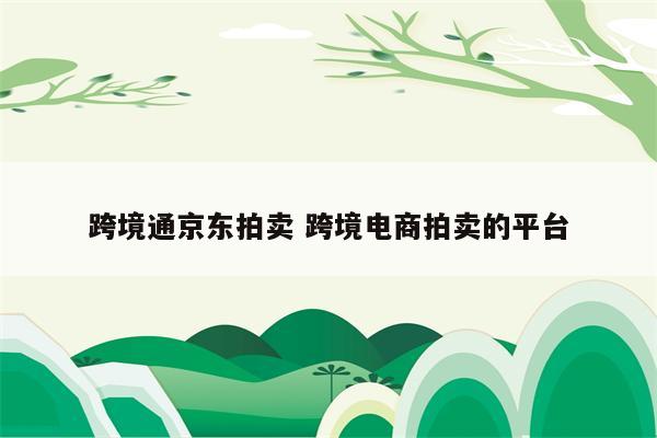 跨境通京东拍卖 跨境电商拍卖的平台