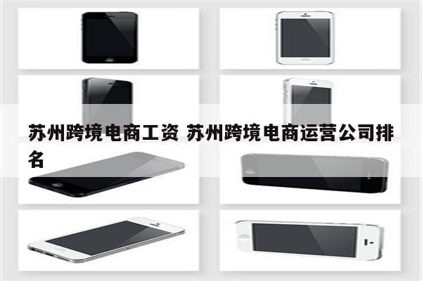 苏州跨境电商工资 苏州跨境电商运营公司排名