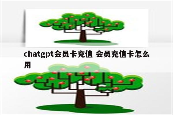 chatgpt会员卡充值 会员充值卡怎么用