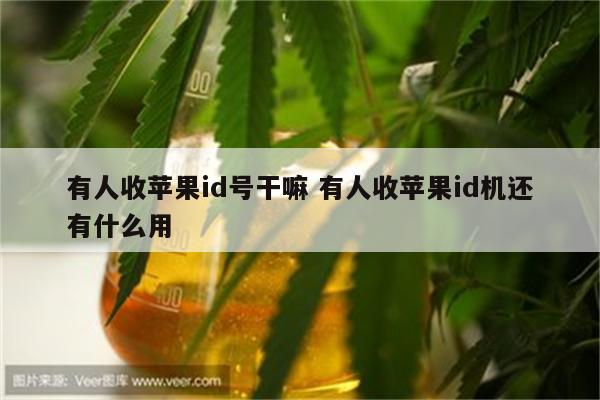 有人收苹果id号干嘛 有人收苹果id机还有什么用